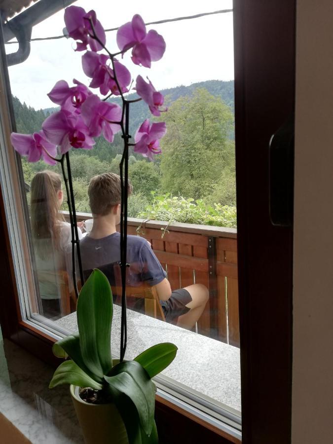 Bed and Breakfast Sobe U Sirrc Блед Экстерьер фото